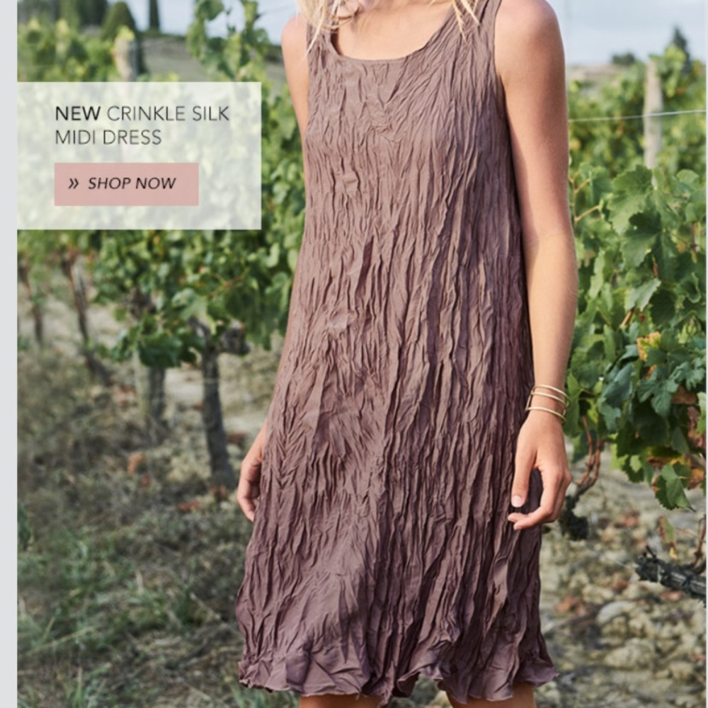 Garnet Hill Silk Crinkle Dress S with silk scarf.